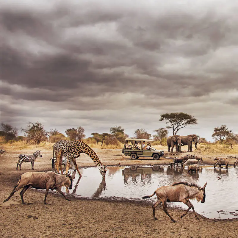 Tarangire and Ngorongoro safari